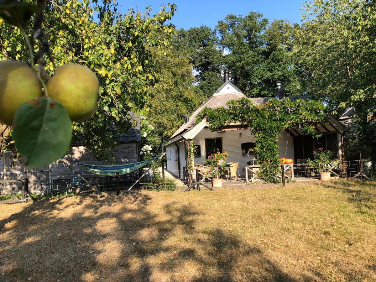Het Buitengebied Empe Buitenkant foto