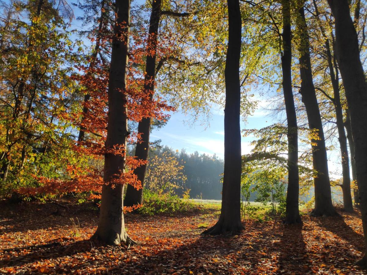 Het Buitengebied Empe Buitenkant foto