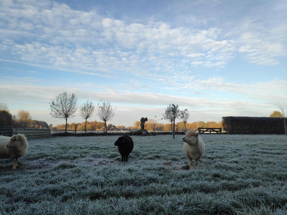 Het Buitengebied Empe Buitenkant foto